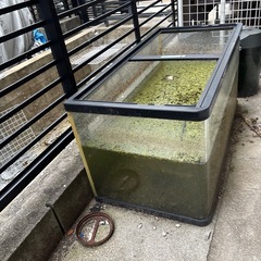 90センチ水槽の画像