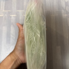 母乳フリーザーパックの画像