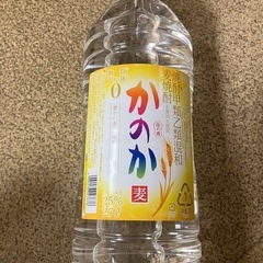 焼酎｢かのか｣