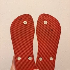 ハワイアナスビーサンの画像