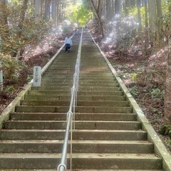 金峰山に登ろう✊ - 熊本市
