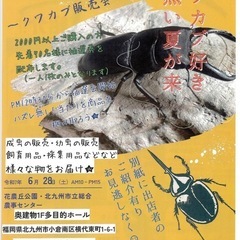 クワガタ・カブトムシ即売会🔥