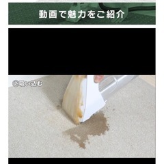 リンサークリーナーの画像