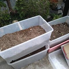 無料！植木鉢の土  大量　好きなだけ  