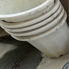 プランター　プラスチック鉢　受け皿　土　軽石の画像