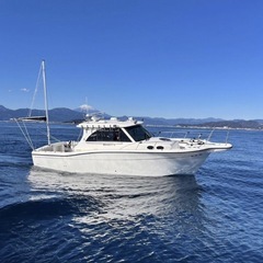 釣り仲間募集