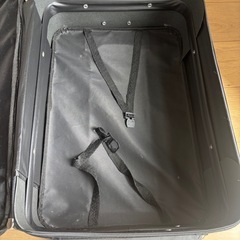 キャリーバッグの画像