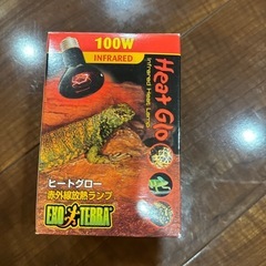 爬虫類ライトの画像