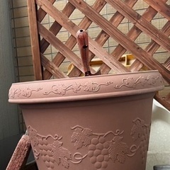 プラスチック植木鉢と土　もらってください