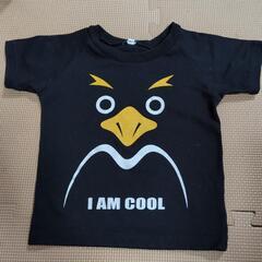 ベビー　Tシャツ  ペンギン