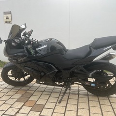 カワサキ　ニンジャ　250の画像