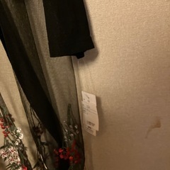 婦人服の画像