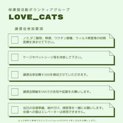保護した猫を譲渡会に参加させたい方！名古屋市中村区 西区で…