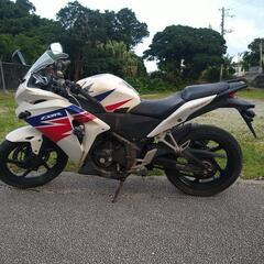 🌸cbr250r 🌸 mc41🌸