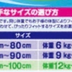 スイミングオムツ BIG12枚入りの画像