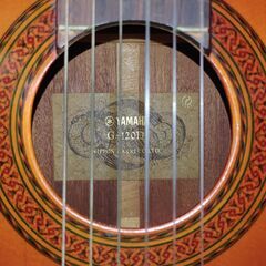 Yamaha G-120Dの画像