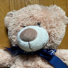 クマのぬいぐるみの画像