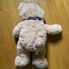 クマのぬいぐるみの画像
