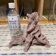 アクアリウムシェルター（熱帯魚）