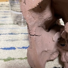 アクアリウムシェルター（熱帯魚）の画像
