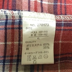 レディースシャツ　4Lの画像