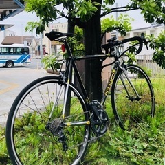 ロードバイク仲間募集〜
