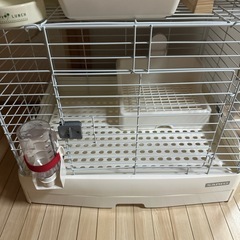 うさぎモルモットゲージ他