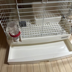 うさぎモルモットゲージ他の画像