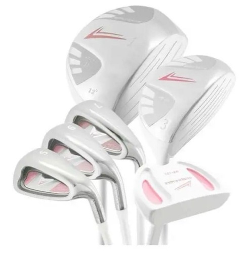 WORLD EAGLE 101 レディース ゴルフ ハーフセット