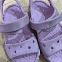クロックス　14センチくらい　の画像
