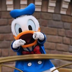 趣味友募集！ディズニー、カメラ、カラオケ、映画など！