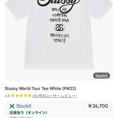 ほぼ未使用　STUSSY レア　worldツアー　Tシャツ