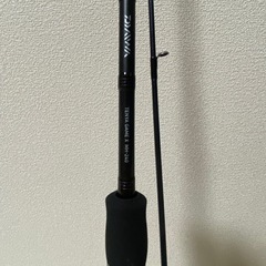ダイワ  テンヤゲームX MH240の画像