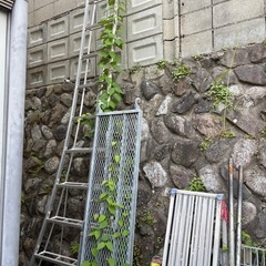 剪定用ハシゴ
