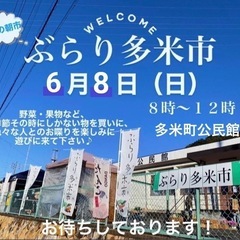 6月8日いちご　1箱1300円　ぶらり多米市にての画像