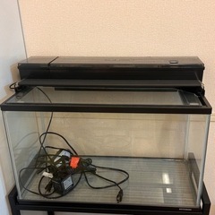 60cm規格水槽セット