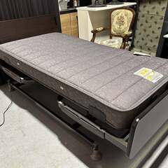 France Bed フランスベッド 電動ベッド シングル レス...