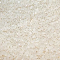 お米 10kg 令和6年度 7500円 とちぎの星
