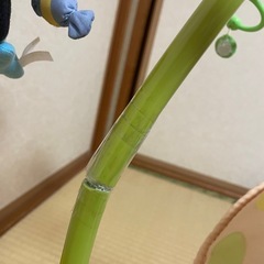 Disneyメリーの画像