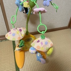 Disneyメリーの画像