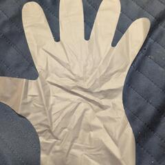 使い捨て手袋　80枚以上の画像