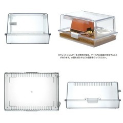 爬虫類ケージの画像