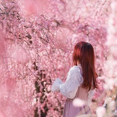 インスタ映え、スポット