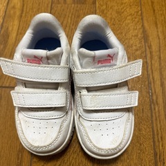 PUMA 14cmの画像