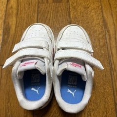 PUMA 14cmの画像