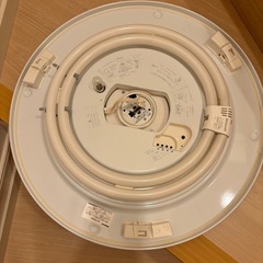 シーリングライト