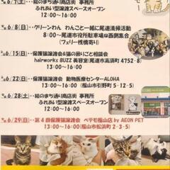 6月7日、保護猫とふれあい型譲渡スペースオープン