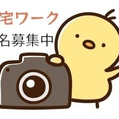 【群馬県太田市　館林市　栃木県足利市周辺】　洋服の床置き撮…