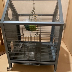 アクリル製バード・ゲージ
