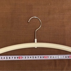 レディースハンガーの画像